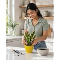Yellow Plastic Flower Pot for Indoor amp