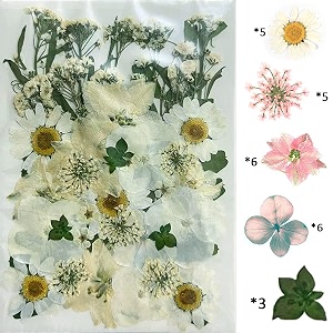 yellowcult natural real dried amp pressed flowers for art craft - mixed multicolor for soap candle scrapbooking diy resin jewelry pendant - luxury white 40-45 pcs