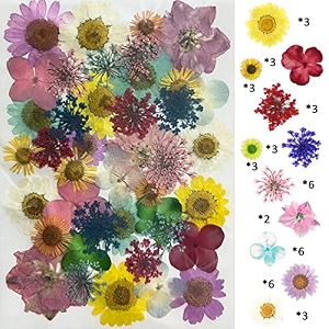 yellowcult natural real dried amp pressed flowers for art craft - mixed multicolor for soap candle scrapbooking diy resin jewelry pendant - luxury mixed color 18x13cm sheets