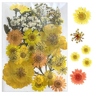 yellowcult natural real dried amp pressed flowers for art craft - mixed multicolor for soap candle scrapbooking diy resin jewelry pendant - luxury yellow 40-45 pcs