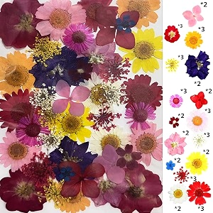 yellowcult natural real dried amp pressed flowers for art craft - mixed multicolor for soap candle scrapbooking diy resin jewelry pendant - luxury redpink 40-45 pcs