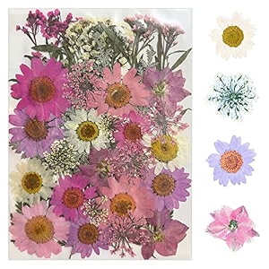 yellowcult natural real dried amp pressed flowers for art craft - mixed multicolor for soap candle scrapbooking diy resin jewelry pendant - luxury pink amp peach 40-45 pcs