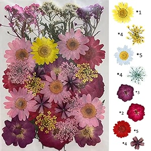 yellowcult natural real dried amp pressed flowers for art craft - mixed multicolor for soap candle scrapbooking diy resin jewelry pendant - luxury pink amp purple 40-45 pcs