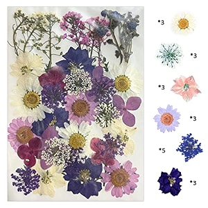yellowcult natural real dried amp pressed flowers for art craft - mixed multicolor for soap candle scrapbooking diy resin jewelry pendant - luxury white amp purple 40-45 pcs