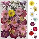 YellowCult Natural Real Dried &amp; Pressed Flowers for Art Craft - Mixed, Multicolor for Soap, Candle, Scrapbooking, DIY, Resin Jewelry, Pendant - [Luxury Pink &amp; Purple 40-45 pcs]