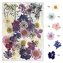 YellowCult Natural Real Dried & Pressed Flowers for Art Craft - Mixed, Multicolor for Soap, Candle, Scrapbooking, DIY, Resin Jewelry, Pendant - [Luxury White & Purple 40-45 pcs]