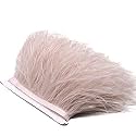 2 Yards Natural & Soft Ostrich Feathers Fringe Trims Ribbon - Used for Dress, Sewing Decoration, Craft Clothing, Boots, Wedding Decoration, DIY, Etc (Lake Blue)