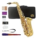 Yinfente Eb Alto Saxophone For Beginners Adult,Saxophone Student,E Flat Alto Sax Upgrade Full Kit With Reeds,Pads Cushions,Hard Carrying Case,Cleaning Cloth & Rod,Mouthpiece,Gloves,Neck Strap Gold
