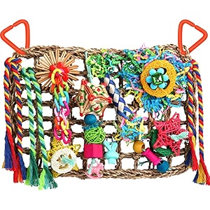 foraging toys for parakeets cockatiel conures lovebirds - seagrass wall with various bird toys