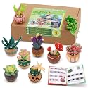 Yizzvb Needle Felting Kit, 9 Pcs Wool Succulent Needle Felt Beginner Kits