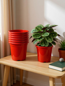 YK PLASTICS Green Lagaci PLASTICS 8 inch