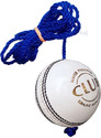 YMD Hanging Ball, Practice Cricket Ball With Rope, Knocking Ball White Cricket Training Ball (Standard, Pack of 1)
