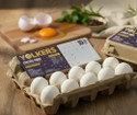 Yolkers White Eggs