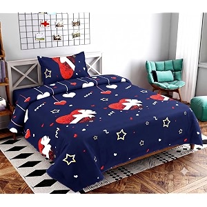 YORIK TM Microfiber Bed Sheet with Pillow