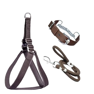 stainless steel nylon dog harness with choke collar  adjustable durable training amp walking gear for small medium amp large dogs