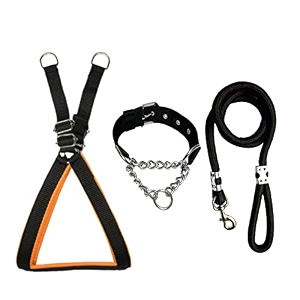 stainless steel nylon dog harness with choke collar  adjustable durable training amp walking gear for small medium amp large dogs extra small black-orange