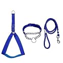Stainless Steel Nylon Dog Harness with Choke Collar | Adjustable Durable Training &amp; Walking Gear for Small, Medium &amp; Large Dogs (Small, Blue)
