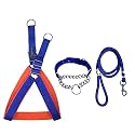 Stainless Steel Nylon Dog Harness with Choke Collar | Adjustable Durable Training & Walking Gear for Small, Medium & Large Dogs (Small, Blue-Red)