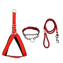 Stainless Steel Nylon Dog Harness with Choke Collar | Adjustable Durable Training & Walking Gear for Small, Medium & Large Dogs (Medium, Red-Black)