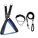 Stainless Steel Nylon Dog Harness with Choke Collar | Adjustable Durable Training & Walking Gear for Small, Medium & Large Dogs (Medium, Black-Blue)