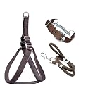 Stainless Steel Nylon Dog Harness with Choke Collar | Adjustable Durable Training & Walking Gear for Small, Medium & Large Dogs