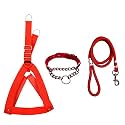 Stainless Steel Nylon Dog Harness with Choke Collar | Adjustable Durable Training & Walking Gear for Small, Medium & Large Dogs (Extra Large, Red)