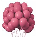Balloon Decoration Kit for Birthdays Baby Shower, Wedding Anniversary, Valentine's Day Arch Garland for Parties Celebration &amp; Event/Festive Party Decorations - RETRO PINK (100 Balloons)