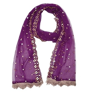 youthquake plastic mirror emboridered net dupatta for womens amp girls with fancy cut design with lace