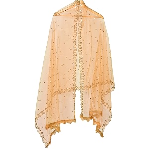 youthquake plastic mirror emboridered net dupatta for womens amp girls with fancy cut design with lace