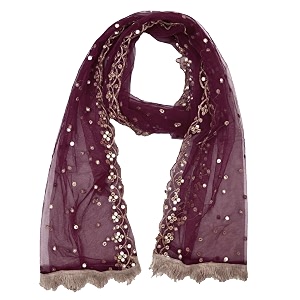 youthquake plastic mirror emboridered net dupatta for womens amp girls with fancy cut design with lace