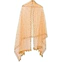YOUTHQUAKE Plastic Mirror Emboridered Net Dupatta for Womens &amp; Girls With Fancy Cut Design with Lace