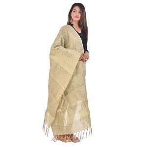 youthquake women39s amp girls golden zari parchaa silk dupatta