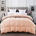 YRM - 400 GSM Ultra-Soft Quilted Comforter (90" x 100" Inches/228cm x 254cm) - Double Bed|Peach