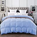 YRM - 400 GSM Ultra-Soft Quilted Comforter (90" x 90" Inches/228cm x 228cm) - Queen Size|Sky Blue
