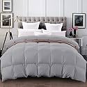 YRM - 400 GSM Ultra-Soft Quilted Comforter (90" x 90" Inches/228cm x 228cm) - Queen Size|Silver