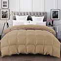 YRM - 400 GSM Ultra-Soft Quilted Comforter (90" x 90" Inches/228cm x 228cm) - Queen Size|Beige