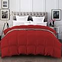 YRM - 400 GSM Ultra-Soft Quilted Comforter (60" x 90" Inches/152cm x 228cm) - Single Bed|Burgundy