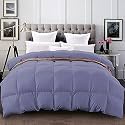 YRM - 400 GSM Ultra-Soft Quilted Comforter (60" x 90" Inches/152cm x 228cm) - Single Bed|Medium Blue