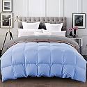 YRM - 400 GSM Ultra-Soft Quilted Reversible Comforter (90" x 90" Inches/228cm x 228cm) - Queen Size|Silver/Sky Blue