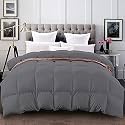 YRM - 500 GSM Ultra-Soft Quilted Comforter (90" x 90" Inches/228cm x 228cm) - Queen Size|Dark Grey
