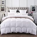 YRM - 500 GSM Ultra-Soft Quilted Comforter (92" x 106" Inches/233cm x 269cm) - King Size|White