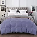 YRM - 500 GSM Ultra-Soft Quilted Reversible Comforter (60" x 90" Inches/152cm x 228cm) - Single Bed|Silver/Medium Blue