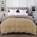 YRM - 500 GSM Ultra-Soft Quilted Reversible Comforter (90" x 100" Inches/228cm x 254cm) - Double Bed|Silver/Beige