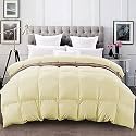 YRM - 500 GSM Ultra-Soft Quilted Comforter (60" x 90" Inches/152cm x 228cm) - Single Bed|Ivory