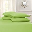 YRM Bedding's Sage Green 600-TC Oraganic Cotton 2 Piece Pillow Covers (19"x29")