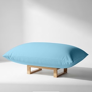 YRM Beddings - Egyptian Cotton 600TC Pillow