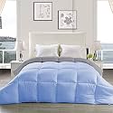 YRM - Hotel Quality Restful Sleep-Down Alternative Reversible 300 GSM All Season Comforter (90" x 100" Inches/228cm x 254cm) - Double Bed|Silver/Sky Blue