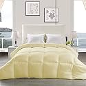 YRM - Hotel Quality Restful Sleep-Down Alternative 300 GSM All Season Comforter (90" x 100" Inches/228cm x 254cm) - Double Bed|Ivory