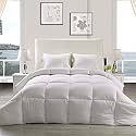 YRM - Hotel Quality Restful Sleep-Down Alternative 300 GSM All Season Comforter (90" x 100" Inches/228cm x 254cm) - Double Bed|White
