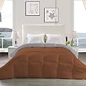 YRM - Hotel Quality Restful Sleep-Down Alternative Reversible 300 GSM All Season Comforter (60" x 90" Inches/152cm x 228cm) - Single Bed|Silver/Chocolate Brown